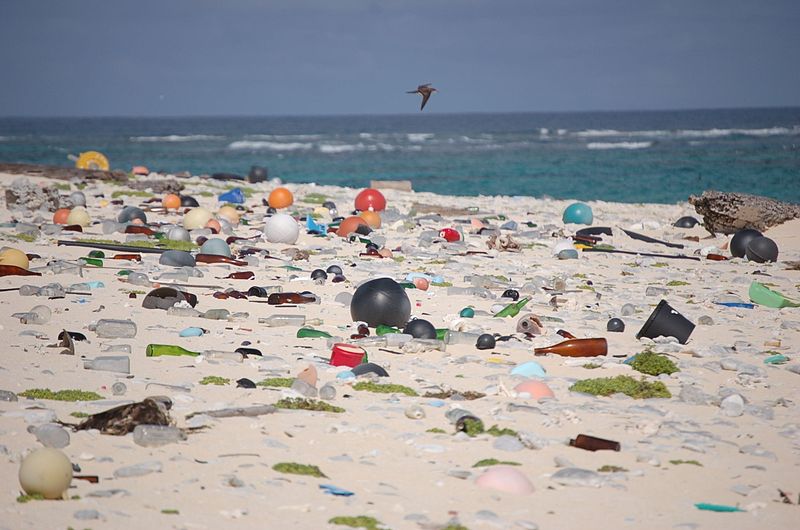 marine plastic litter
