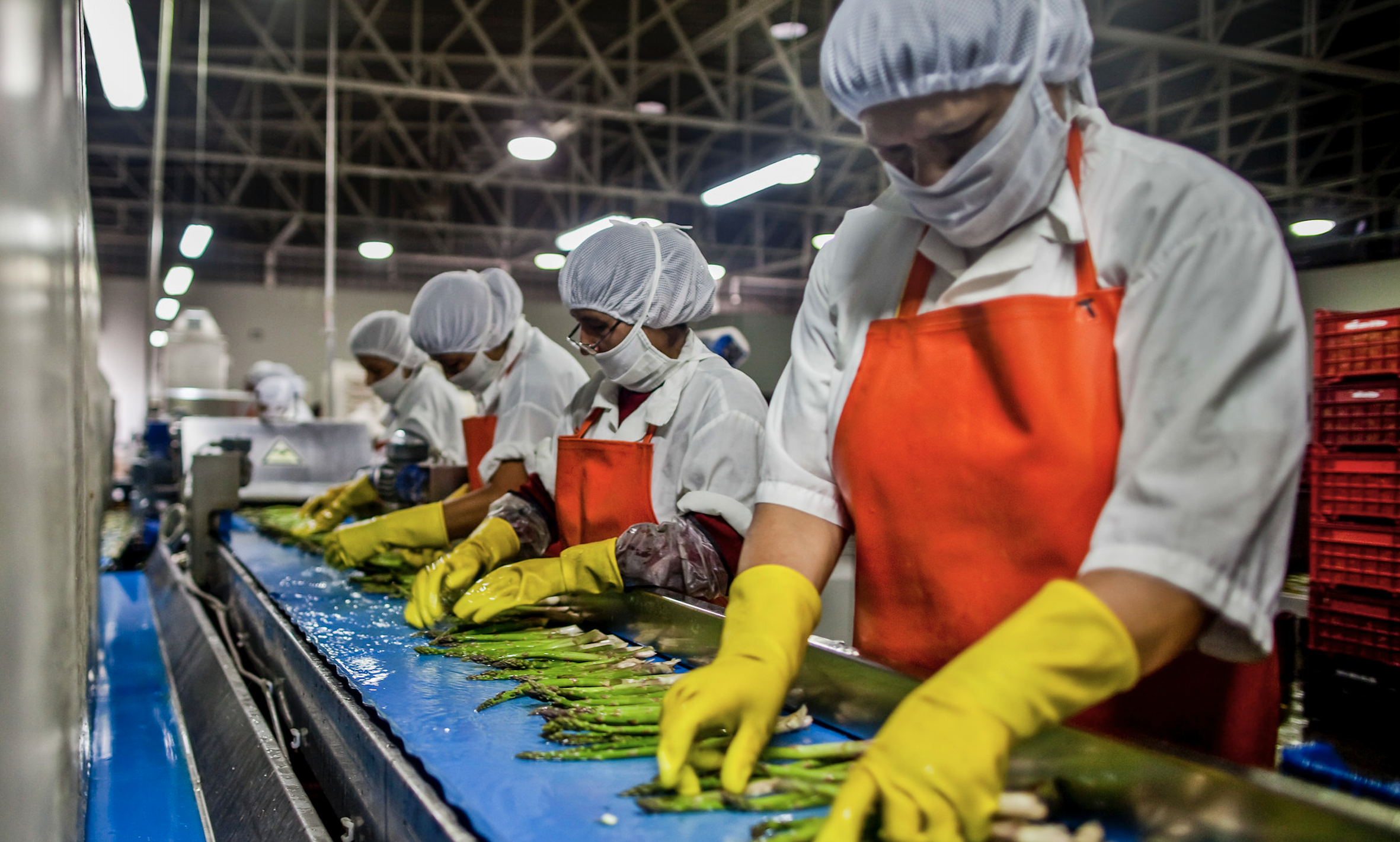 Food systems are responsible for a third of global anthropogenic GHG emissions