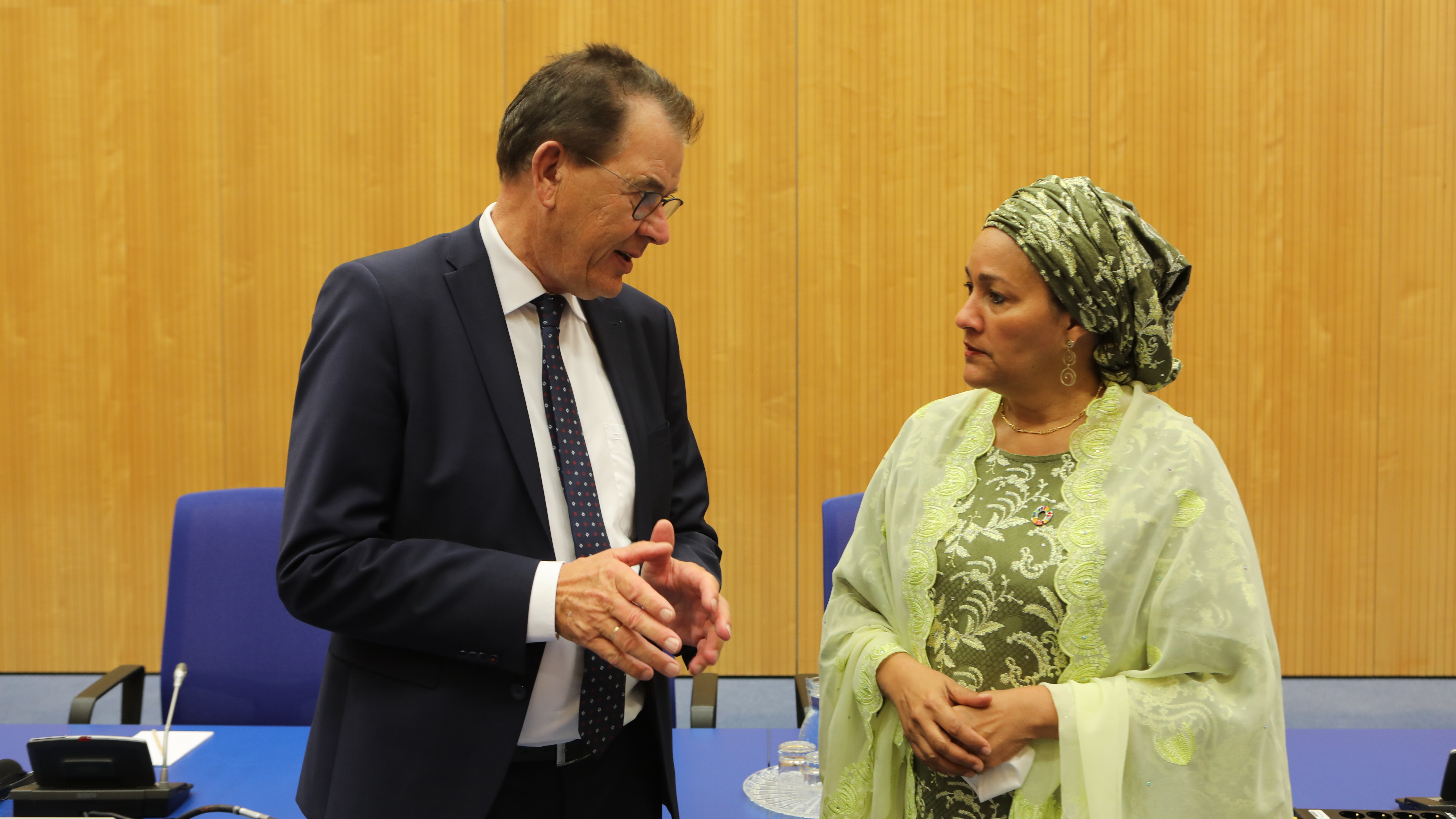 Director General met Amina J. Mohammed 