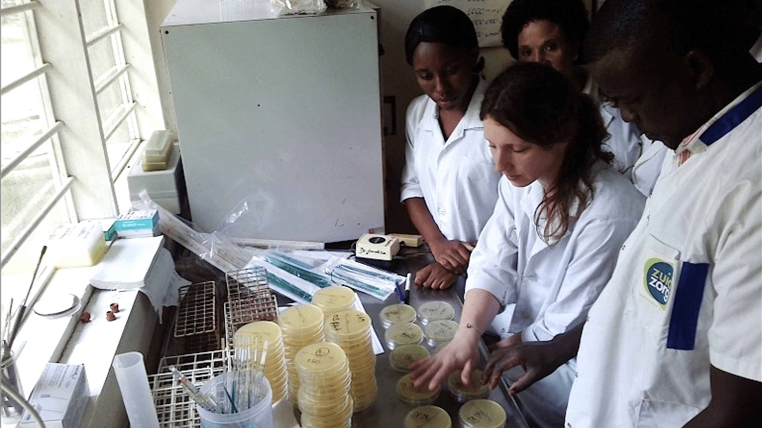 Helping developing countries get up to speed on food safety standards  