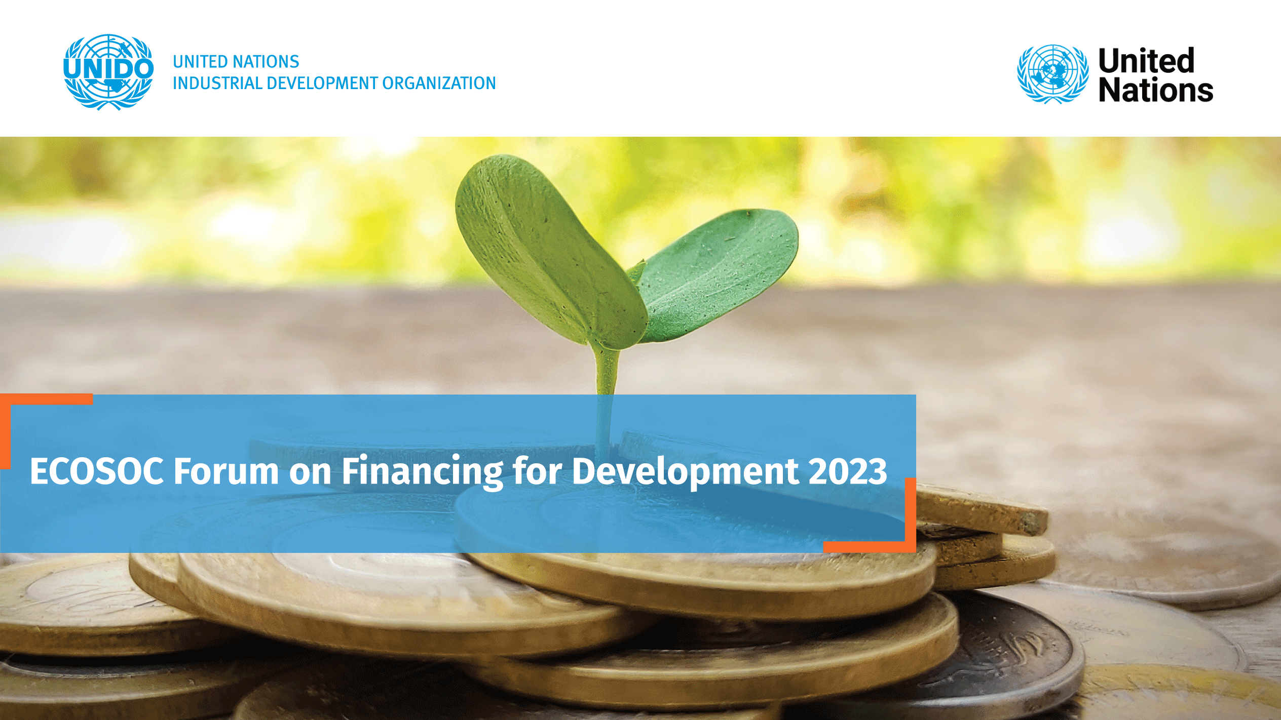 ECOSOC Forum on Financing for Development