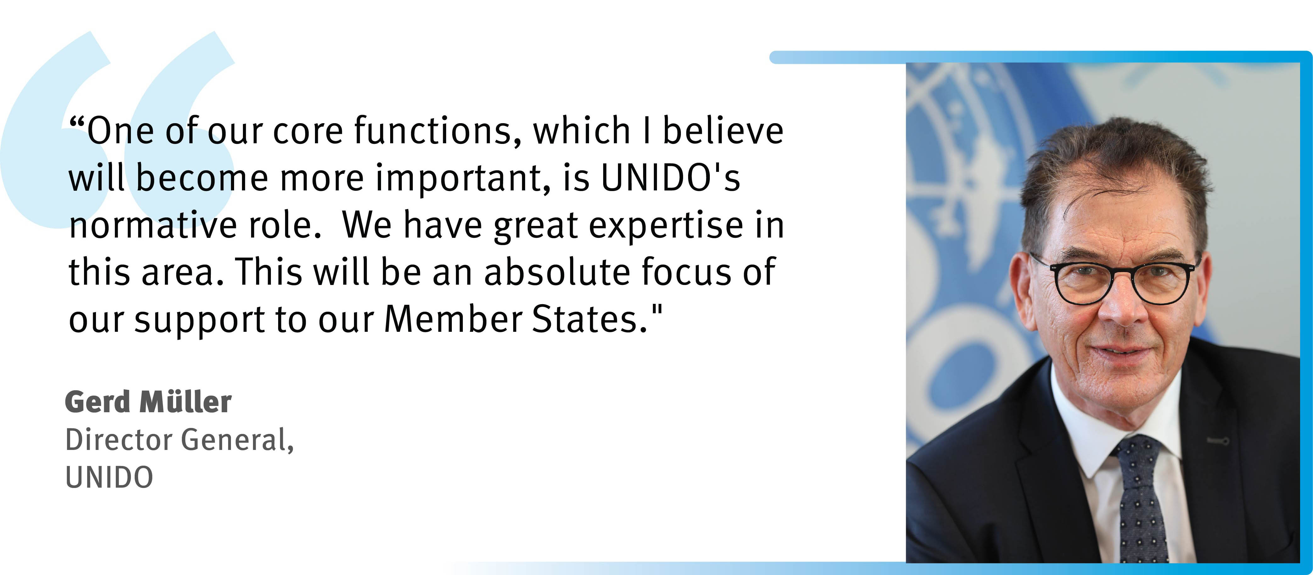DG quote on UNIDO's normative role