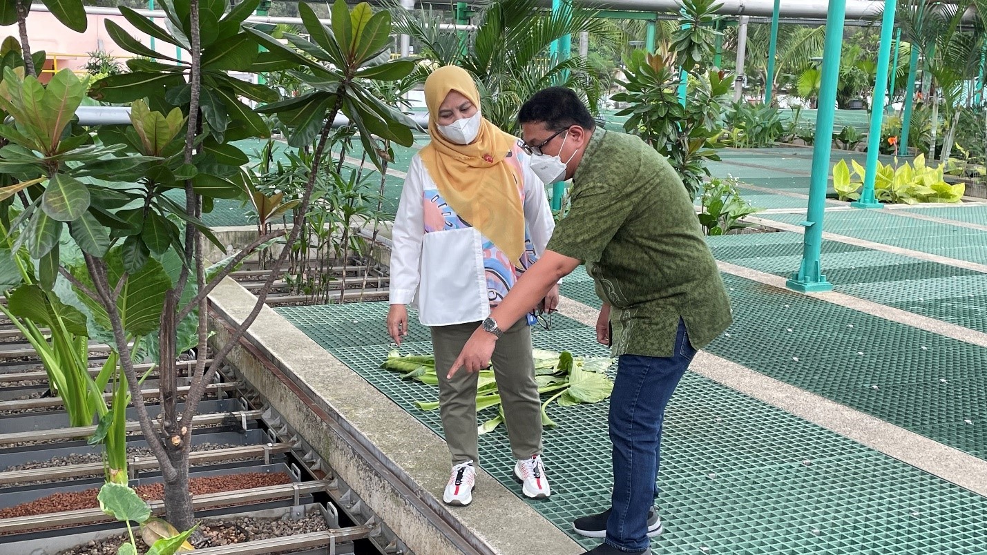 Susi Rahmawati, Manager of Customer Service and Legal Affairs, surveying the wastewater treatment plant at MM 2100 Industrial Town, one of Indonesia's eco-industrial parks. (Photo: M. Gaspar, UNIC Jakarta)