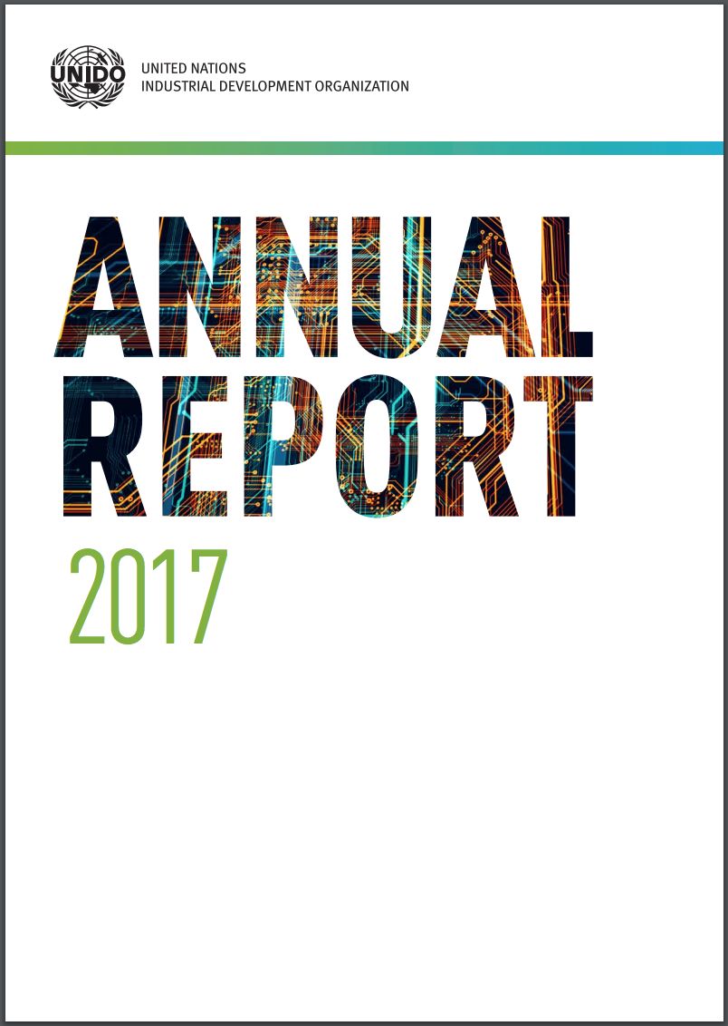 Company annual report best sale 2017