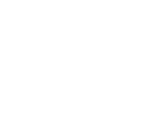 d1-unido-logo