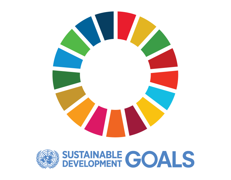 SDG Logo Circular