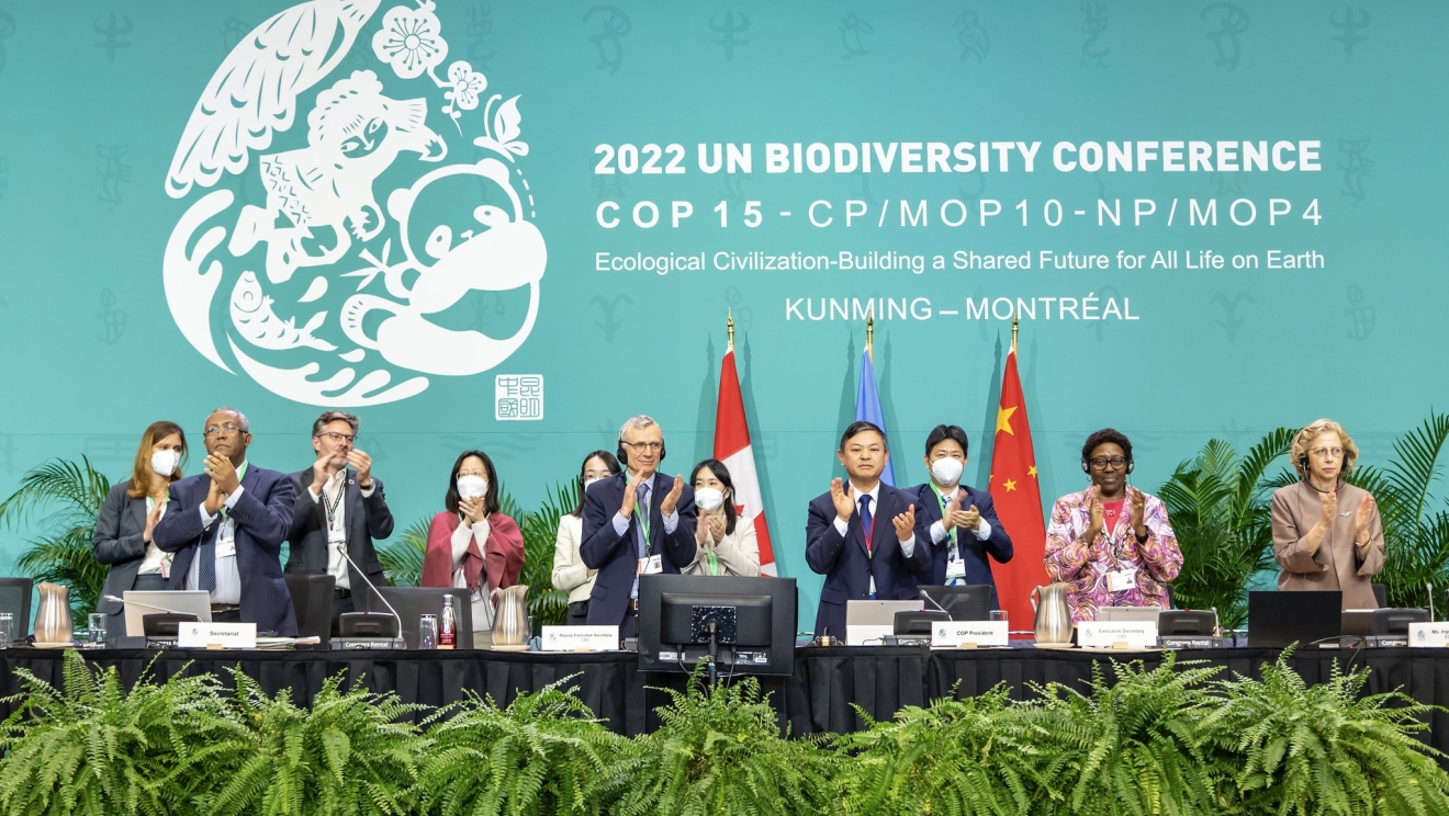 UNIDO helps steer industries towards a sustainability path,  in line with Kunming-Montreal Global Biodiversity Framework 