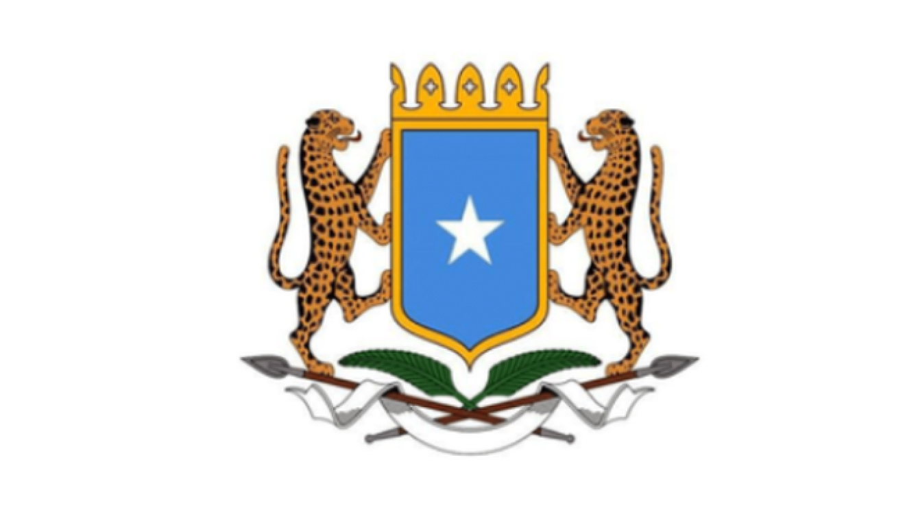 Somalia logo SEZ