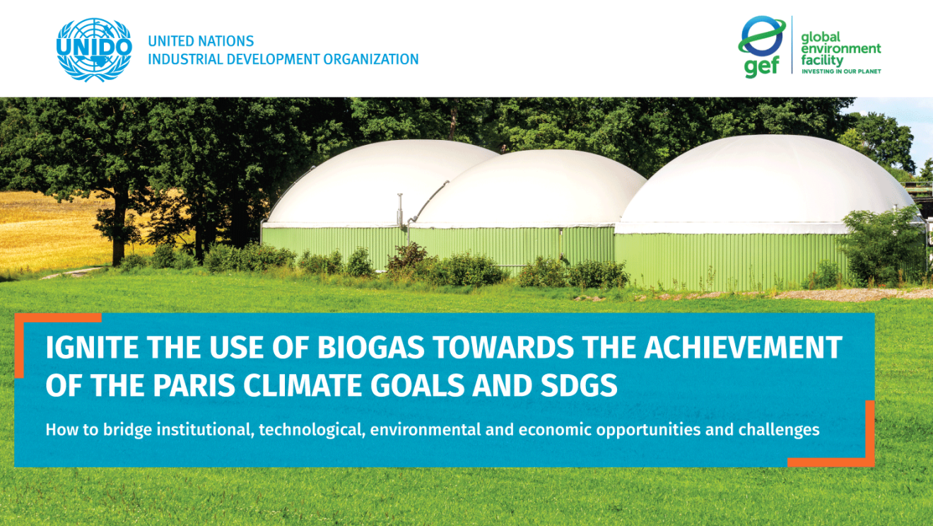Biogas workshop 