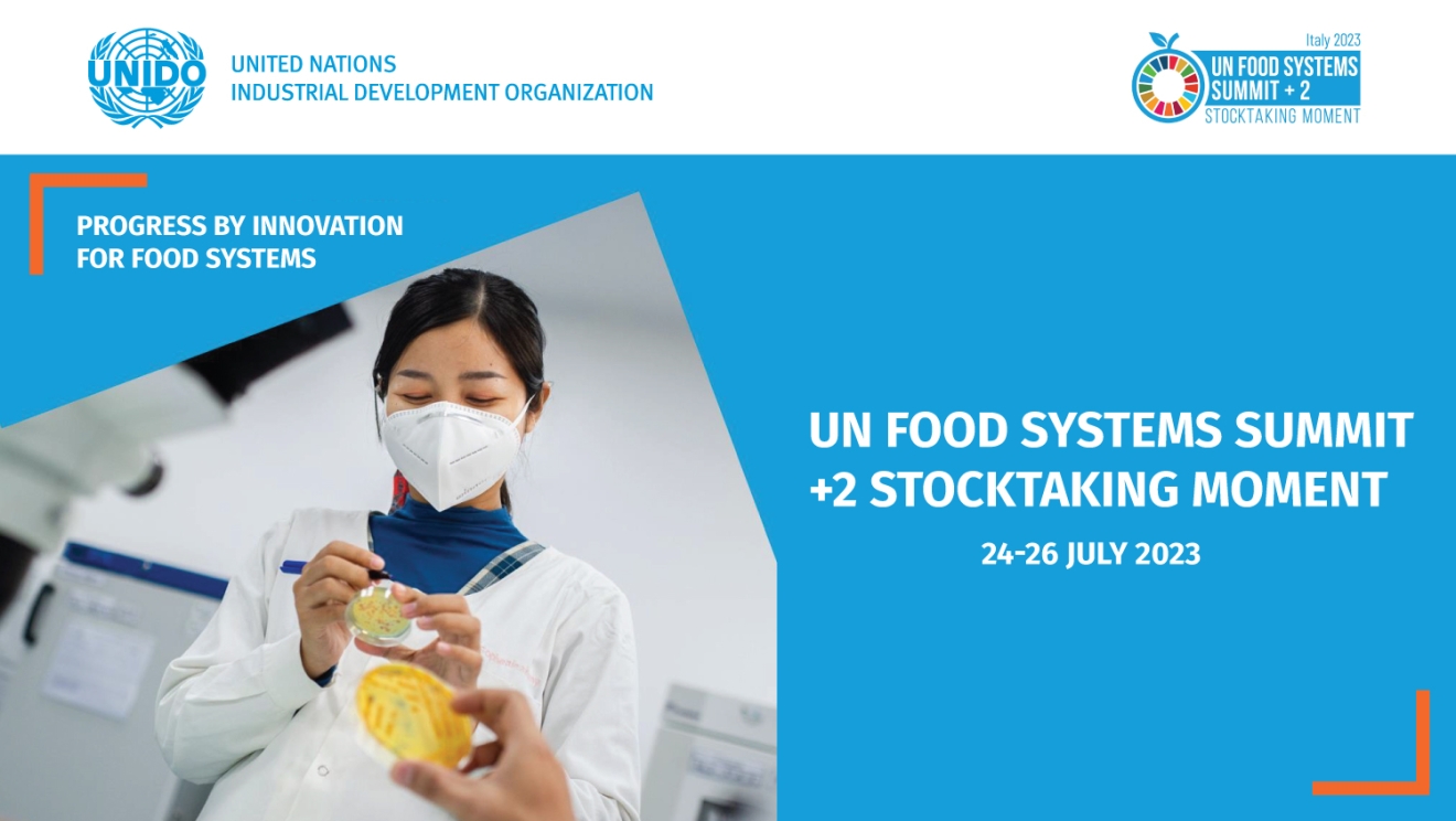 UN Food Systems