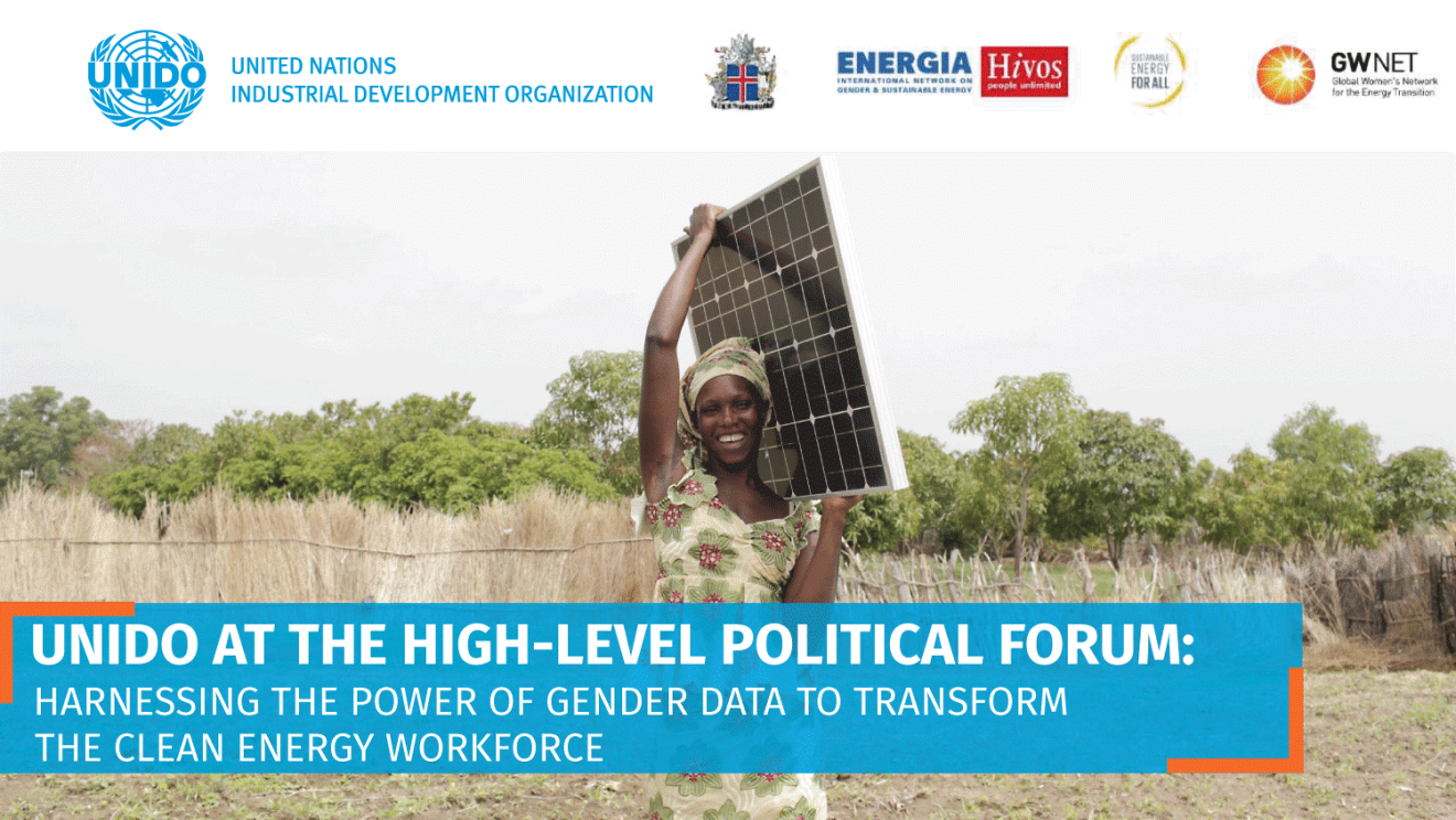 HLPF - SIde event - Harnessing the power of gender data to transform the clean energy workforce
