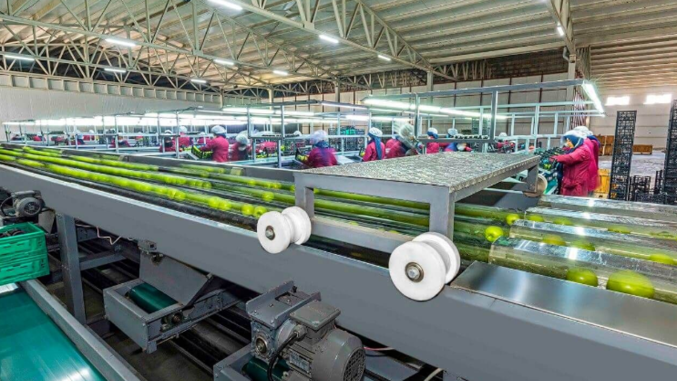 Adana factory production line