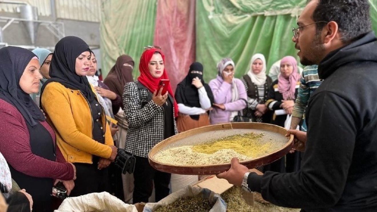 1 Rabeha Empowering Women in Rural Egypt