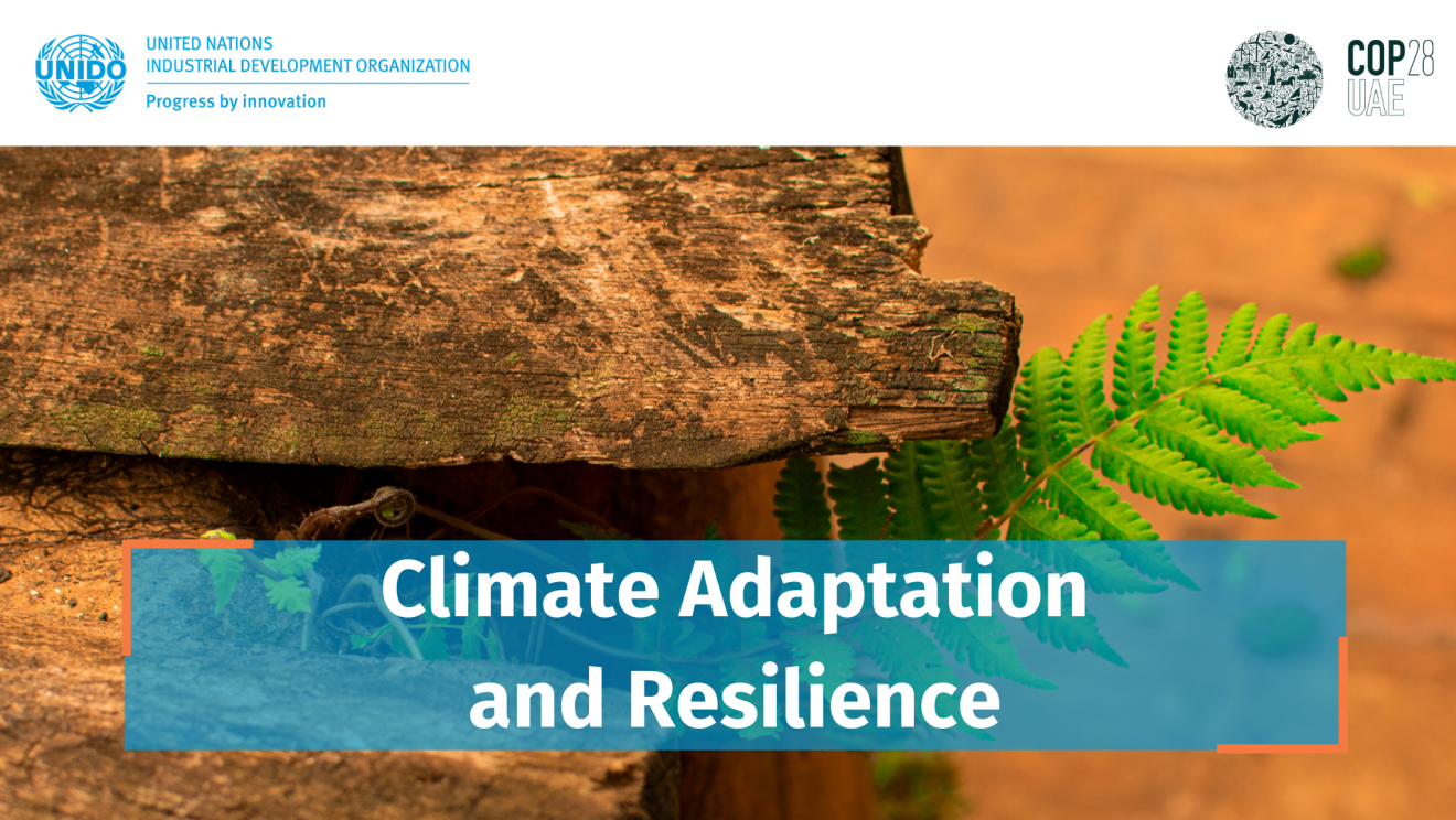 Climate Adaptation & Resilience 