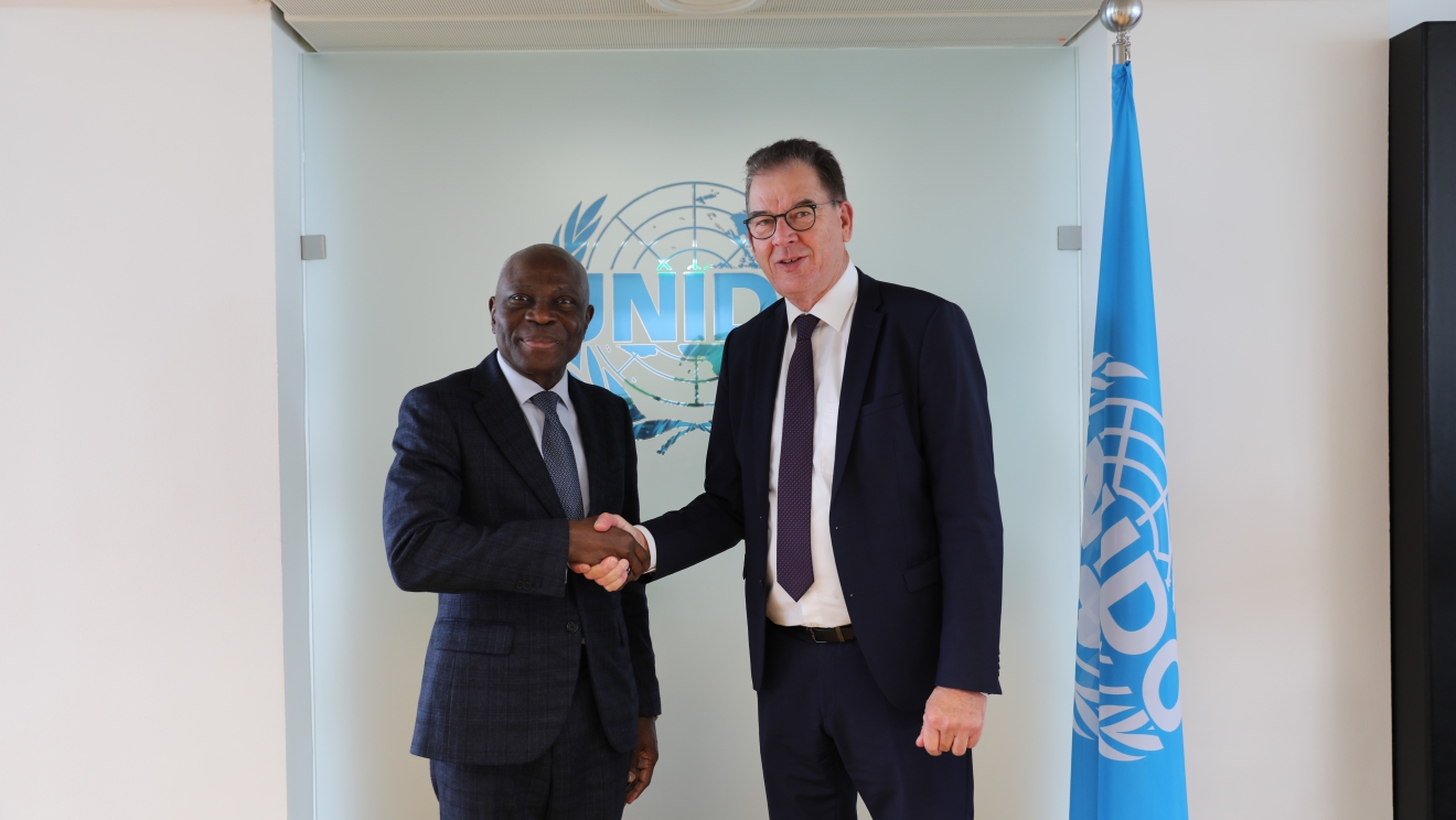 ILO and UNIDO reinforce their cooperation 2