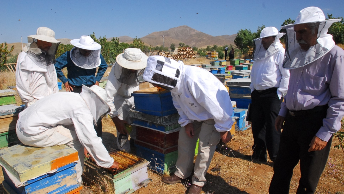 Iran Beekeeping