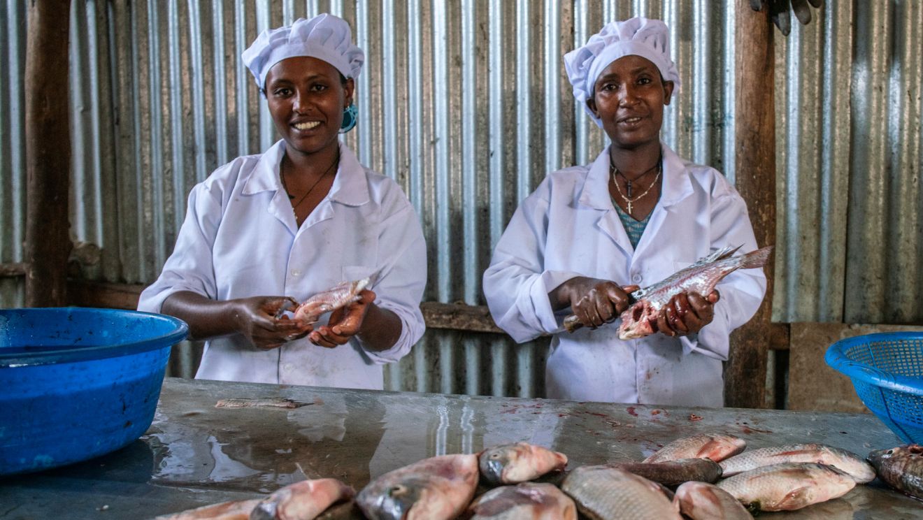 VE ending hunger fisheries in Ethiopia