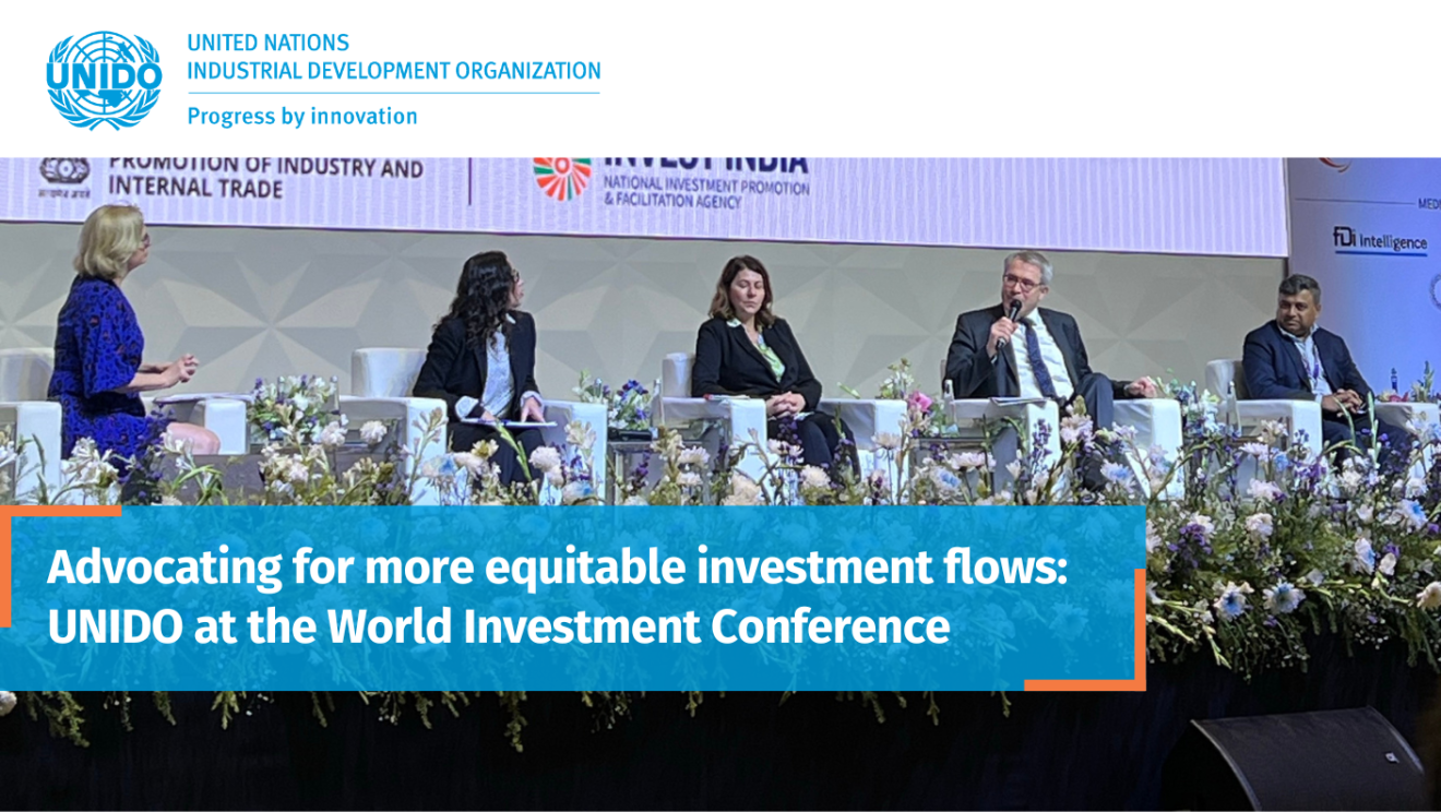 UNIDO at the World Investment Conference1