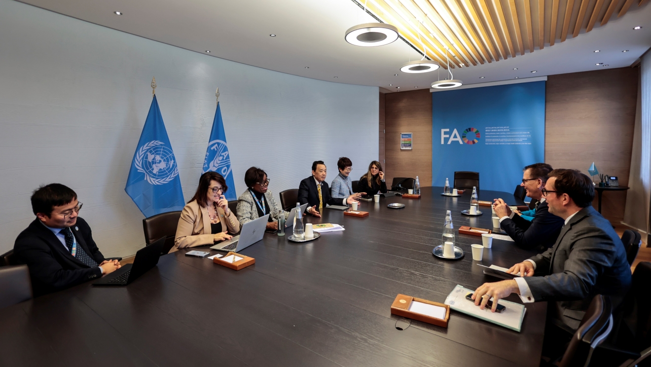 DG FAO Rome meeting