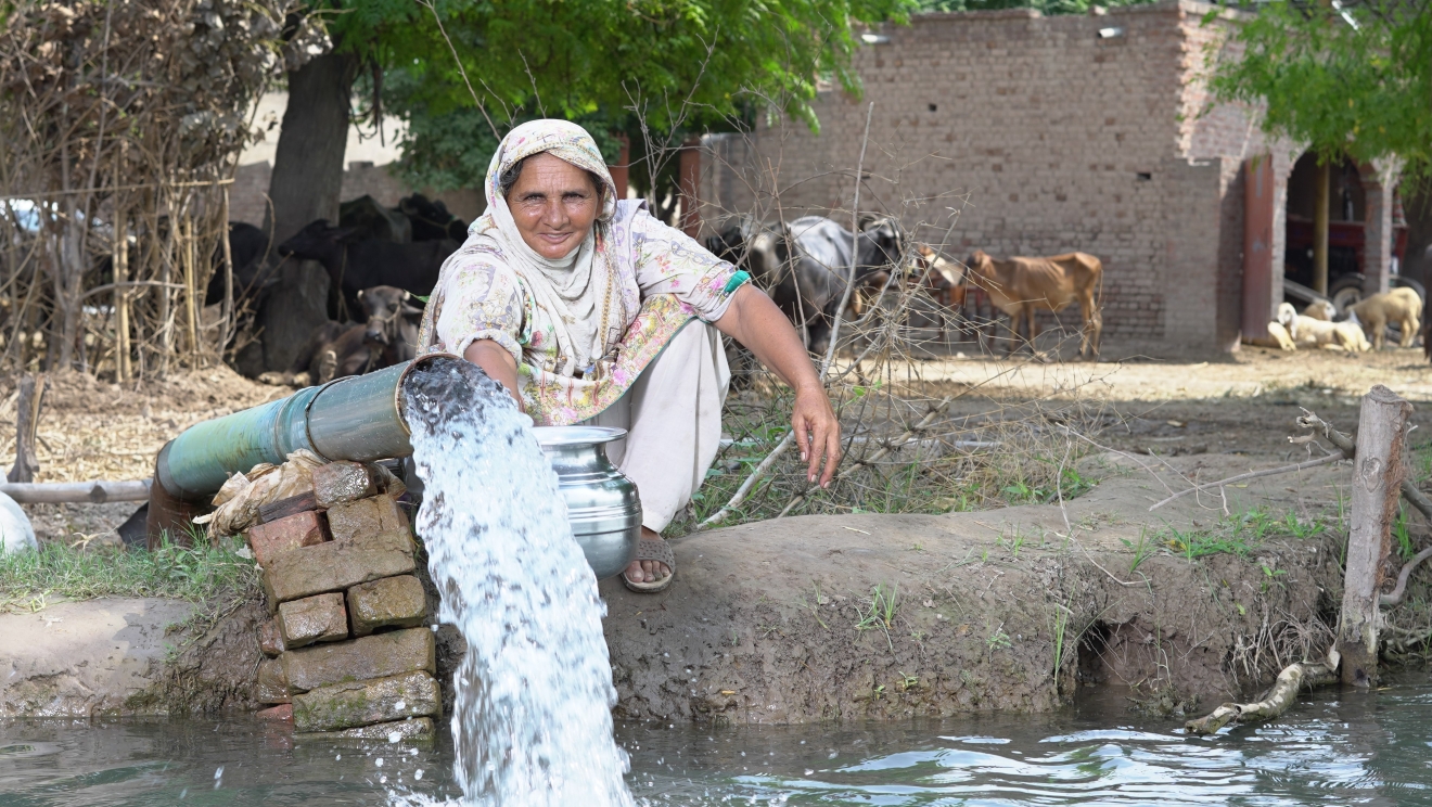 Pakistan woman farmer