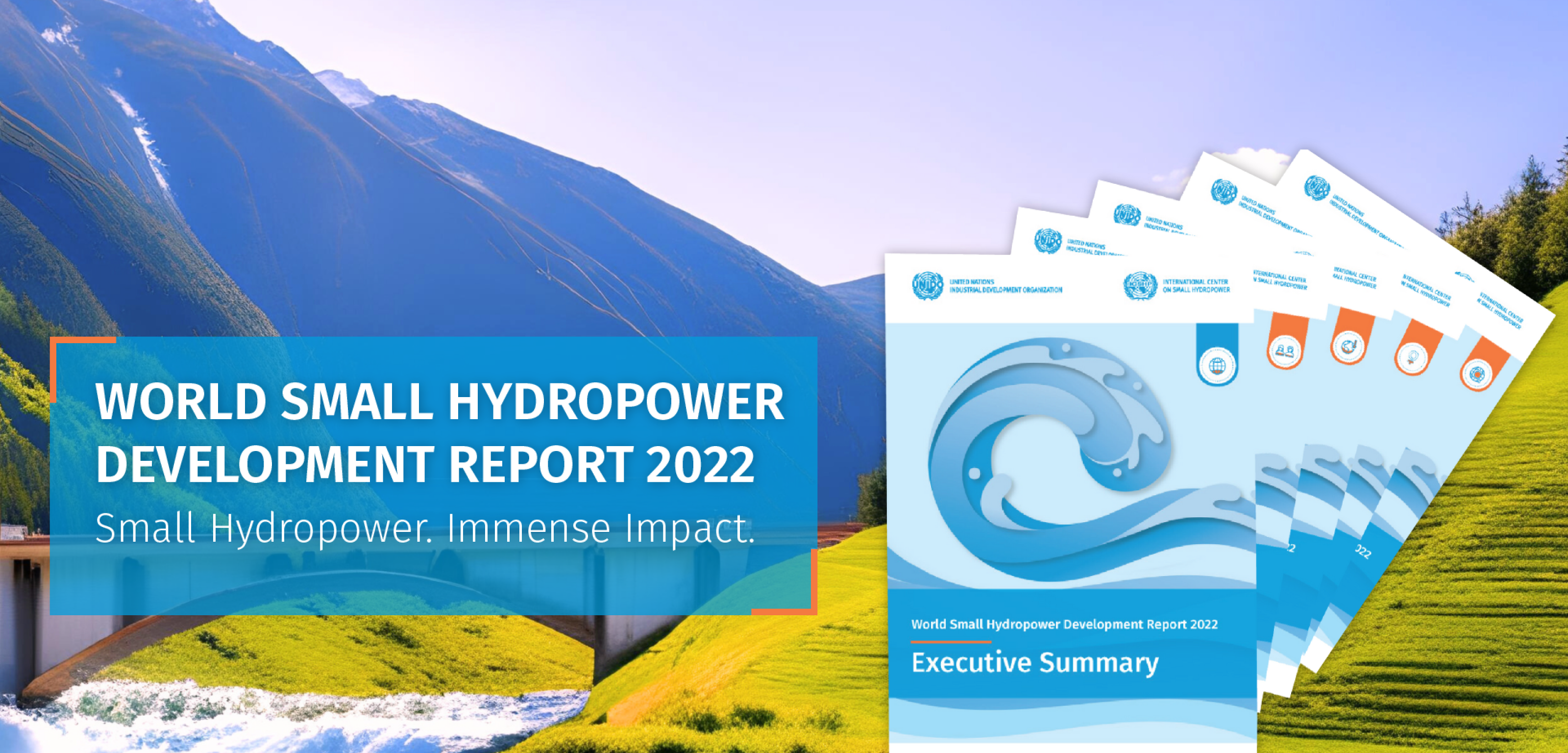 World Small Hydropower Development Report
