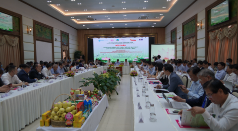 Viet Nam’s mango industry: towards compliance with export market requirements