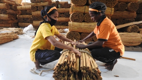 Boost for Sri Lanka’s cinnamon producers as EU agrees protected geographical indication